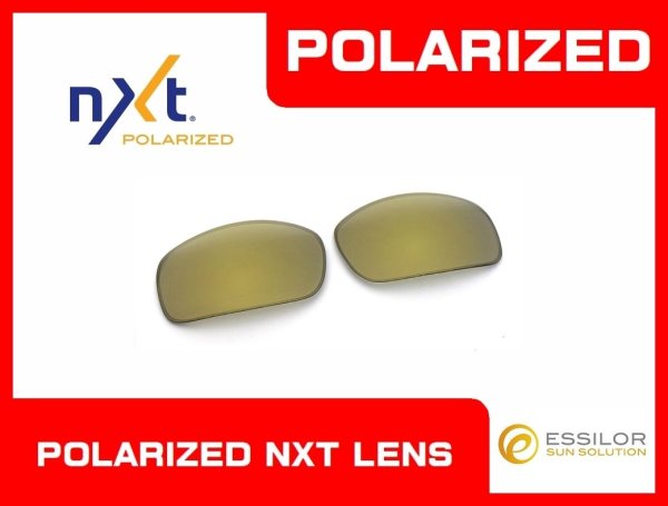 Photo1: X-SQUARED - Gold Mirror - NXT® POLARIZED
