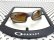 Photo2: X-SQUARED - Gold Mirror - NXT® POLARIZED (2)