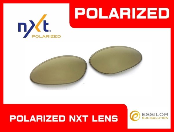 Photo1: PENNY - Gold Mirror - NXT® POLARIZED
