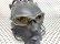 Photo7: X-METAL XX - Gold Mirror - Polarized (7)