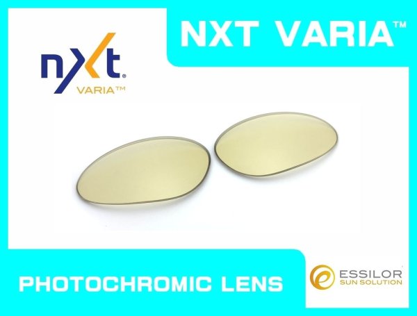 Photo1: PENNY - Daynite - NXT® VARIA™ Photochromic