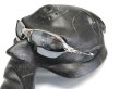 Photo15: ROMEO 2- Liquid Metal - Polarized (15)
