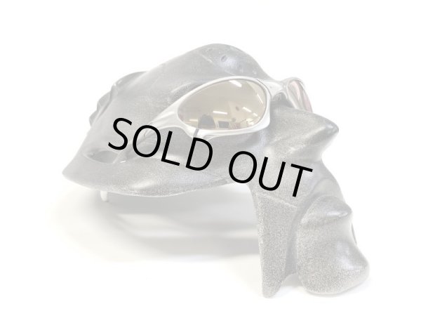 Photo15: PENNY - Pinky Gold - NXT® VARIA™ Photochromic (15)