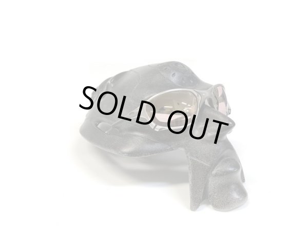 Photo18: X-METAL XX - Pinky Gold - NXT® VARIA™ Photochromic (18)