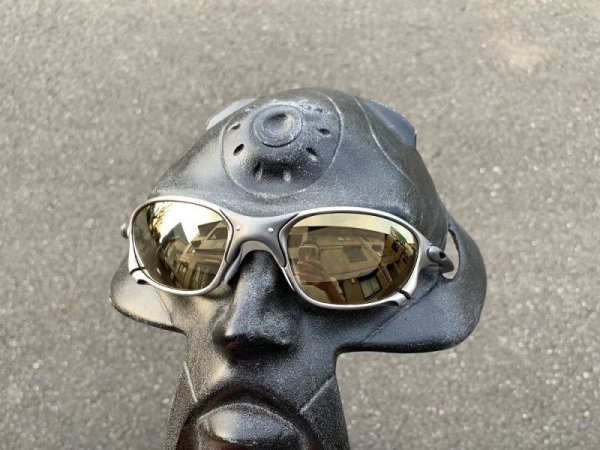 Photo11: X-METAL XX - Gold Varia - NXT® VARIA™  Photochromic (11)