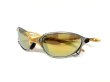 Photo14: X-METAL XX - 24K Gold - UV420 Polarized (14)