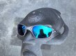 Photo15: X-METAL XX - HCD Blue Revo - NXT® EMBEDDED Non-Polarized (15)