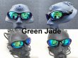 Photo15: Monster Dog Polarized Lenses (15)