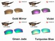 Photo4: FLAK JACKET Non-Polarized Lenses (4)