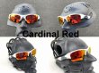Photo14: FLAK JACKET Non-Polarized Lenses (14)