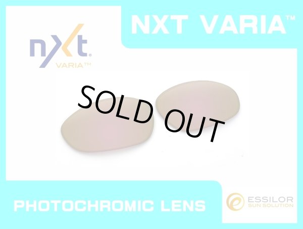 Photo1: X-METAL XX - Pinky Gold - NXT® VARIA™ Photochromic (1)