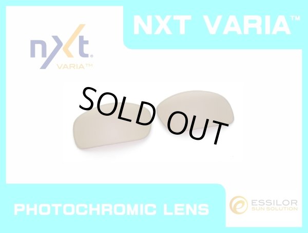 Photo1: X-SQUARED - Pinky Gold - NXT® VARIA™ - Photochromic (1)