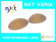 Photo1: ROMEO1 - Pinky Gold - NXT® VARIA™ Photochromic (1)