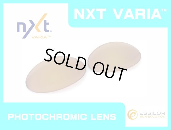 Photo1: ROMEO1 - Pinky Gold - NXT® VARIA™ Photochromic (1)