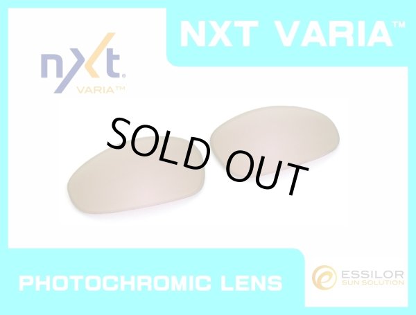 Photo1: JULIET - Pinky Gold - NXT® VARIA™ Photochromic (1)