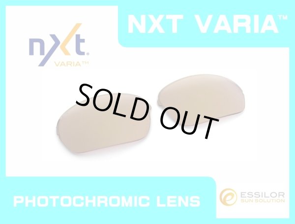 Photo1: HALF-X - Pinky Gold - NXT® VARIA™ Photochromic (1)