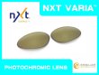 Photo1: PENNY - Gold Varia - NXT® VARIA™ Photochromic (1)