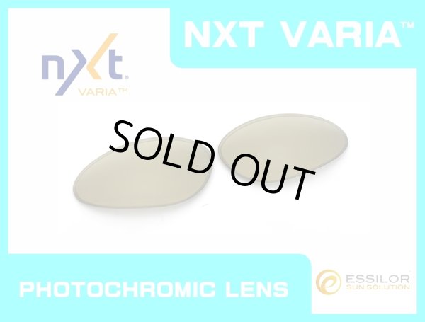 Photo1: PENNY - Gold Varia - NXT® VARIA™ Photochromic (1)