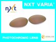 Photo1: PENNY - Pinky Gold - NXT® VARIA™ Photochromic (1)