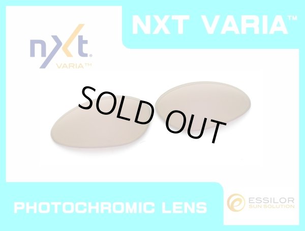 Photo1: PENNY - Pinky Gold - NXT® VARIA™ Photochromic (1)