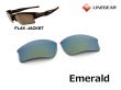 Photo9: FLAK JACKET Polarized Lenses (9)