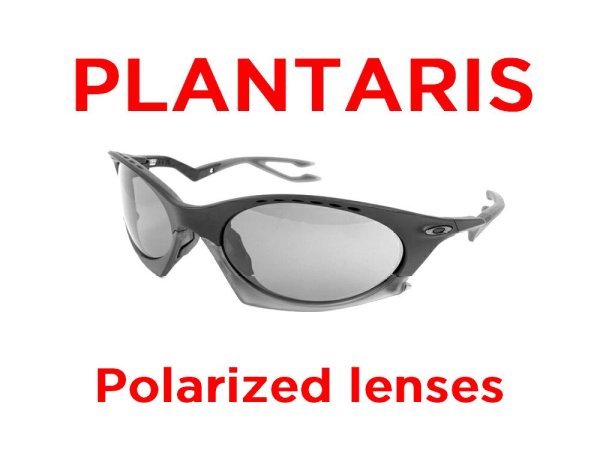 Photo1: PLANTARIS Polarized Lenses (1)