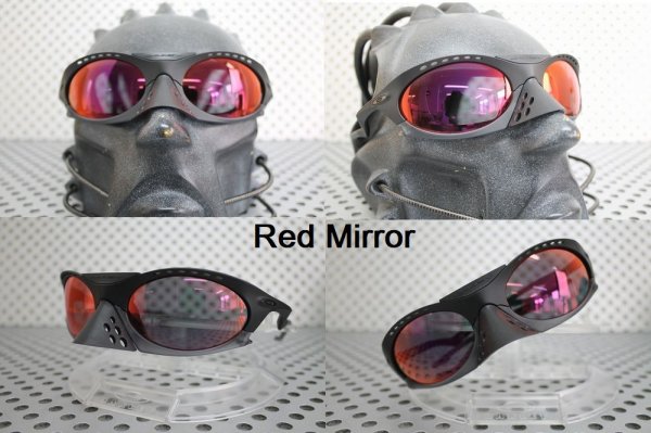 Photo12: PLANTARIS Polarized Lenses (12)