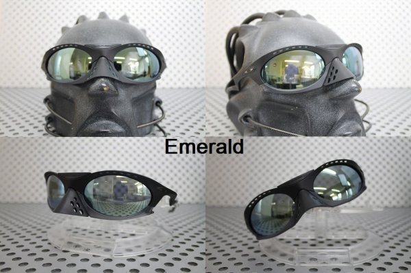 Photo18: PLANTARIS Polarized Lenses (18)