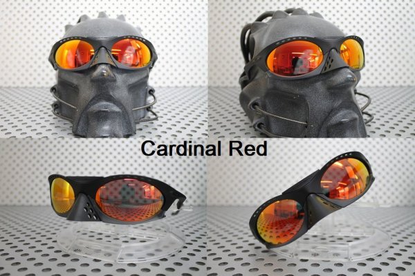 Photo14: PLANTARIS Non-Polarized Lenses (14)