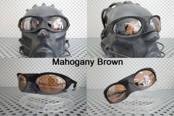 Photo24: PLANTARIS Non-Polarized Lenses (24)