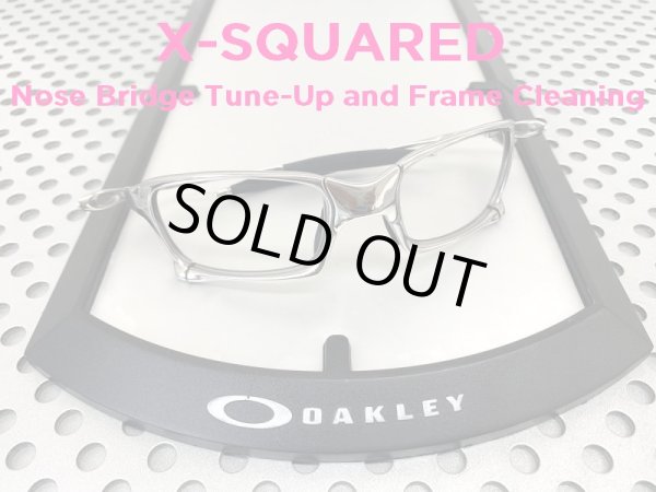 Photo1: X-Squared Nose Bridge Tune-Up and Frame Cleaning (1)