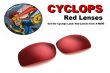 Photo1: Cyclops Prism Red Lenses for X-SQUARED (1)