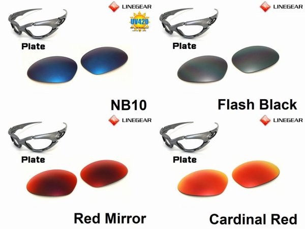 Photo3: PLATE Polarized Lenses (3)
