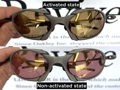 Photo1: ROMEO1 - Sunset Rose - NXT® VARIA™ Photochromic