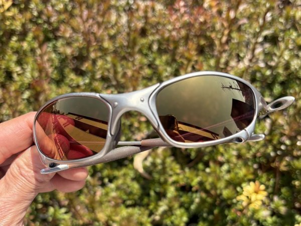 Photo13: JULIET - Sunset Rose - NXT® VARIA™ Photochromic (13)