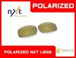Photo1: X-SQUARED - Gold Mirror - NXT® POLARIZED (1)